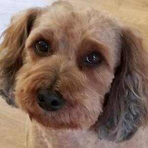 Fundraising Page: Blaine Hydrick